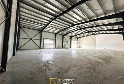 Hala industriala de inchiriat 350700 mp, configurabila - 4