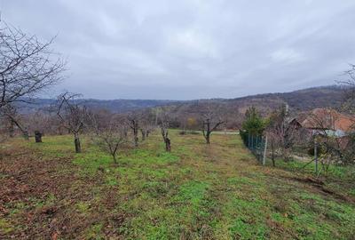 RECO Teren  in Oradea - 9