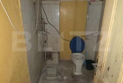 Proprietate istorica cu potential de transformare, in exclusivitate, 150 mp - 12