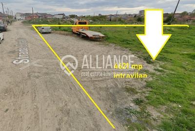 Teren Construcții intravilan de 4621 mp, în Est - 2