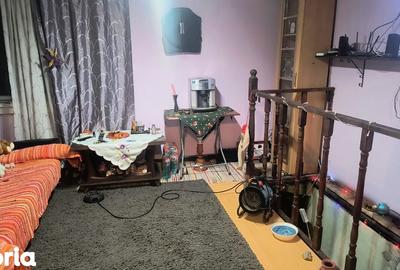 Casă cu 3 camere cu Teren 3200 Mp în Păuliș - 16