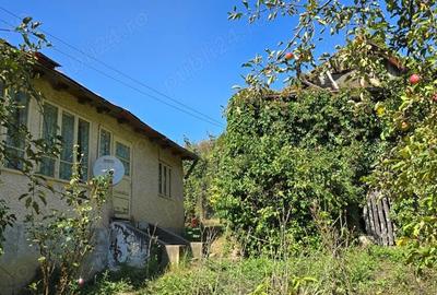 Casă cu 5 camere în Aluniș - 10