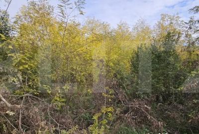 Teren de 1950 mp, în Gorgota - 4