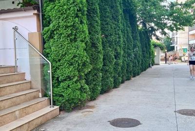 Vanzare Apartament 3 Camere * Mobilat Utilat *  Piscina * Acces padure - 18