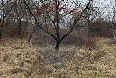 Teren agricol extravilan de 2900 mp, în Independenței - 10