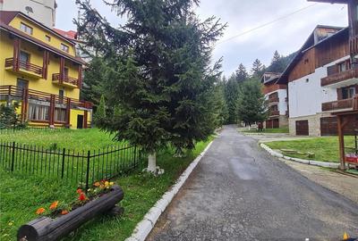 Tur LIVE! Refugiu in ambientul special al statiunii Poiana Brasov - 15