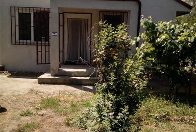 Casă cu 3 camere cu Teren 5000 Mp în Pătlăgeanca - 10