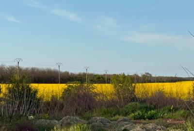 Teren de vânzare Costinești, lângă viitoarea stațiune NIBIRU Teren de vânzare Costinești, lângă viitoarea stațiune NIBIRU - 4