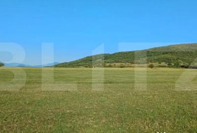 Teren de 3801 mp, în Unirea