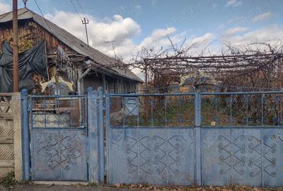 Casa de vanzare cu teren de 10 arii - 7