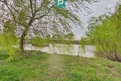 Teren agricol extravilan de 10000 mp, în Alioș - 8