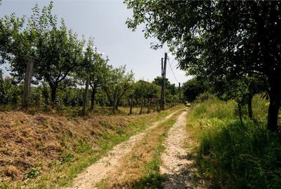 Teren de 1200 mp, în Paleu