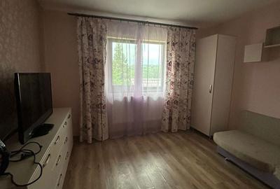 Casă cu 3 camere decomandat cu Teren 350 Mp în Podu Roș - 10