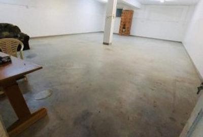 Spațiu industrial, de 1,800 mp, în Ineu - 4