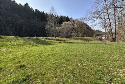Teren de 6888 mp, în Putna - 8