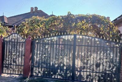 Casă cu 2 camere cu Teren 2000 Mp în Cârna - 2