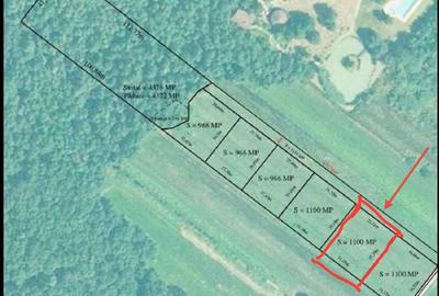 Teren de 1200 mp, în Recea - 5