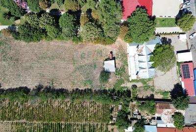 Spațiu comercial, de 300 mp, în Cosmești - 10