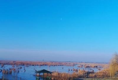 Vand teren intravilan 4000MP cu  dechidere la Delta Neajlovului, Comana GR - 2