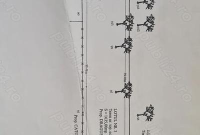 Casă cu 6 camere în Central - 4