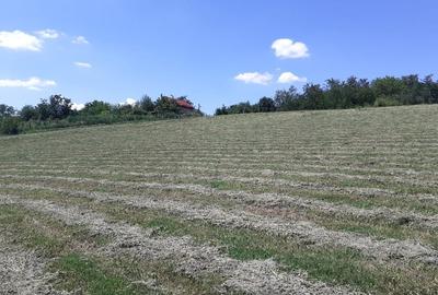 Teren extravilan de 6314 mp, în Belciugatele - 9