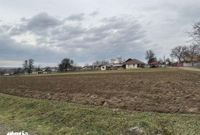 Teren de 27 mp, în Mitocu Dragomirnei - 8