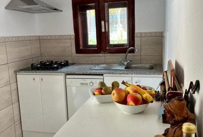 Casă cu 2 camere în Sasca Montană - 9