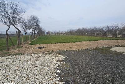 Casă cu 2 camere cu Teren 1667 Mp în Mașloc - 1