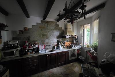 Snagov, Izvorani Vila, la lac - 16