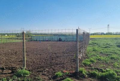 Frumusani Teren construibil 500MP - 2