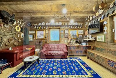 Cabana rustica de vis pe Valea Avrigului – un colt de rai in mijlocul naturii - 14