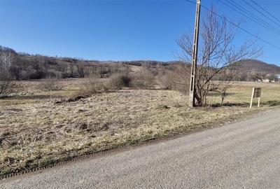 Teren Construcții intravilan de 3893 mp, în Borod - 2