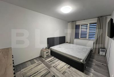 Apartament cu 2 camere semidecomandat, mobilat în Brazda lui Novac - 4