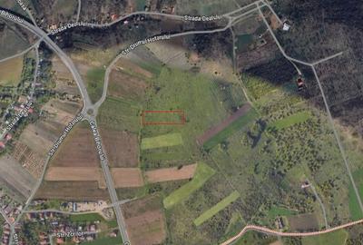 Teren agricol extravilan de 2511 mp, în Oncea - 3