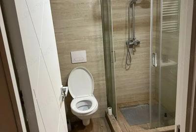 Garsonieră în Elisabetin - 1