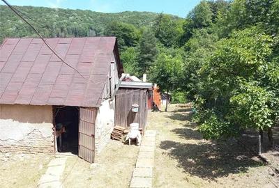 Casă cu Teren 1439 Mp în Anina - 12