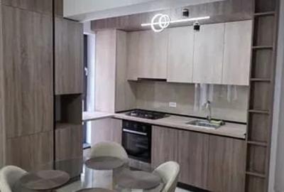 Apartament cu 2 camere semidecomandat, mobilat în Timișoara - 4