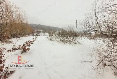 Casă cu Teren 1079 Mp în Livezeni - 6