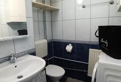 APARTAMENT CU O CAMERA-LA 5 MINUTE DE FSEGA/IULIUS MALL - 13