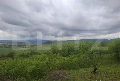 Teren de 2691 mp, în Turda - 1