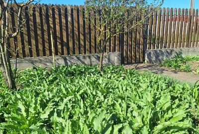 Casă cu 3 camere cu Teren 916 Mp în Central - 14