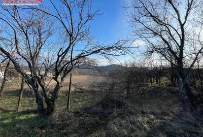 Teren de 1000 mp, în Telița - 8