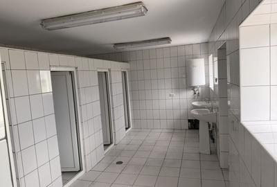 Casă cu 2 camere decomandat în Vedea - 6