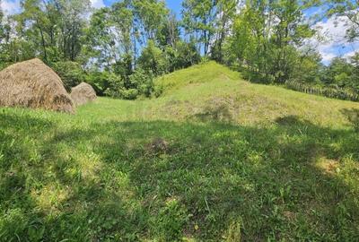 REL4001173 Teren de vanzare in Valea Doftanei - 3