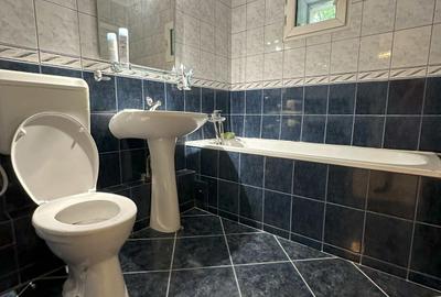 Inchiriere Apartament 3 Camere Modern Vatra Luminoasa - 12