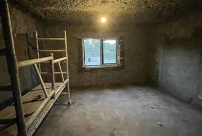 Casa de Vanzare Peciu Nou - 4