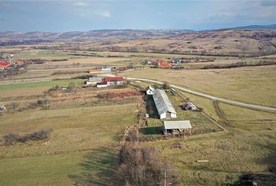 Teren intravilan de 3408 mp, în Voivozi (Popești) - 6