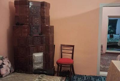 Vand casa la tara 19000 euro - 4