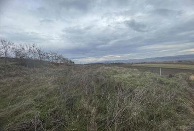 Teren de vanzare, 2900 mp, Cuzdrioara - 2