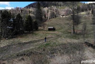 Teren de 10000 mp, în Izvoru - 5